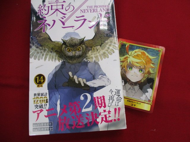 アニメイト大宮さん がハッシュタグ 約束のネバーランド をつけ