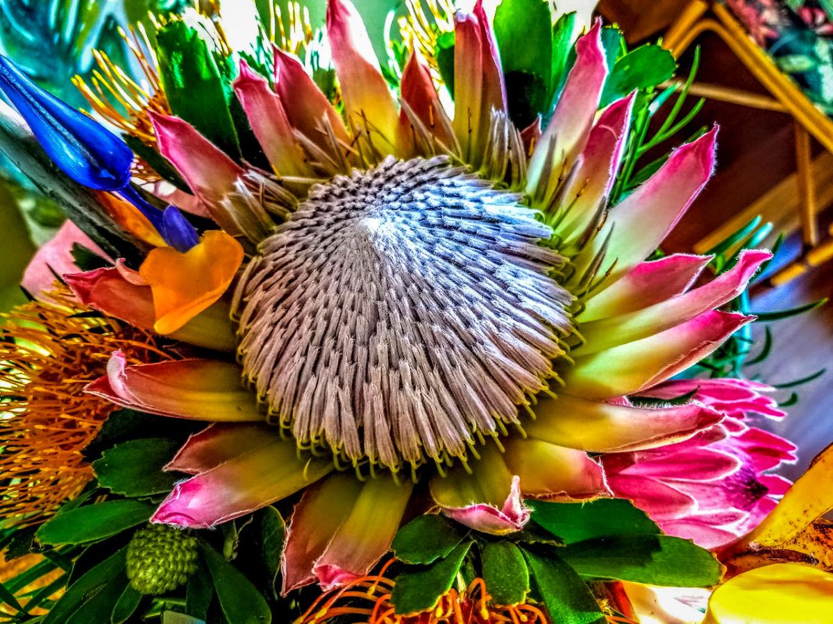 Earth Beauty 🌺🌿