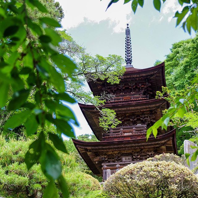 GoNagano_Japan's tweet photo. Daihōji Temple’s three-storied pagoda is a National Treasure, regraded highly for its simple and elegant design. It was built along the Tosando Trail, connecting Kyoto and Tohoku, almost 900 years ago during the Kamakura Period. https://t.co/lZGz4GuDMM https://t.co/7ZgAFjMgu6