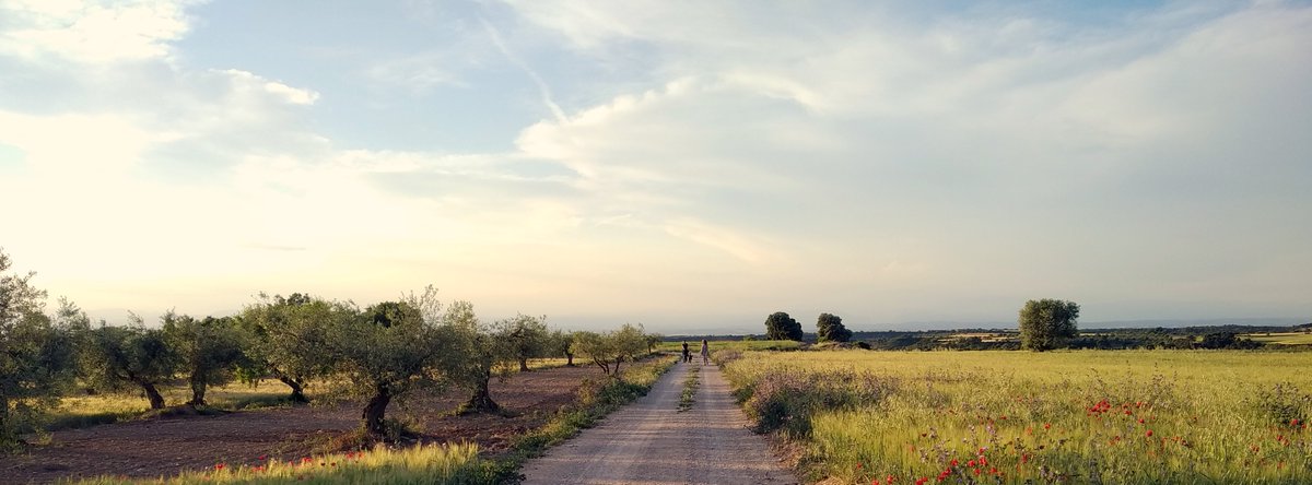 Turisme La Segarra (@turisme_segarra) on Twitter photo #LaSegarra és una comarca per descobrir amb calma, caminant tranquil·lament i gaudint d'un paisatge viu.
<a href="/aralleida/">Ara Lleida</a> <a href="/descobrircat/">Descobrir.cat</a> <a href="/DescobreixCat/">DescobreixCatalunya</a> <a href="/SomSegarra/">Som Segarra</a> <a href="/catexperience/">Catalunya Experience</a> #LaSegarra és una comarca per descobrir amb calma, caminant tranquil·lament i gaudint d'un paisatge viu.
<a href="/aralleida/">Ara Lleida</a> <a href="/descobrircat/">Descobrir.cat</a> <a href="/DescobreixCat/">DescobreixCatalunya</a> <a href="/SomSegarra/">Som Segarra</a> <a href="/catexperience/">Catalunya Experience</a>