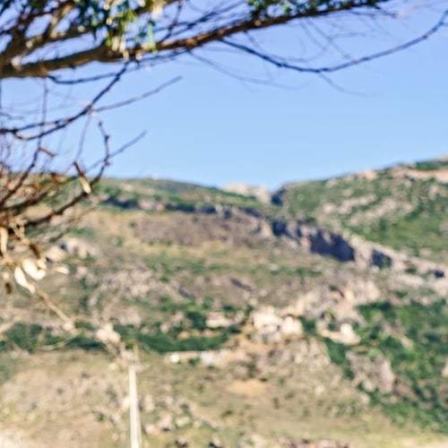 PortoKaleHotel's tweet photo. Porto Kale Guesthouse: Ideal for couples that travel and families that seek a tranquil vacation destination by the beach

Located at the picturesque Porto Kagio cove, nestled at the southern-most part of the #ManiPeninsula in the Peloponnese, Greece

At Porto Kale the auster… https://t.co/AyW7BQLXFF