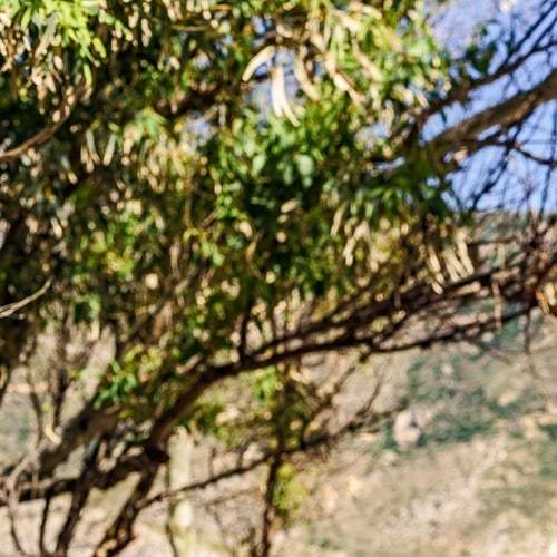 PortoKaleHotel's tweet photo. Porto Kale Guesthouse: Ideal for couples that travel and families that seek a tranquil vacation destination by the beach

Located at the picturesque Porto Kagio cove, nestled at the southern-most part of the #ManiPeninsula in the Peloponnese, Greece

At Porto Kale the auster… https://t.co/AhIUKdOnUV