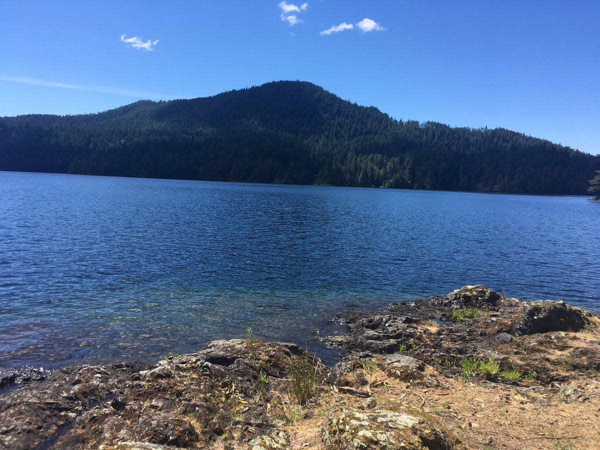 reegan_mack's tweet photo. Just reading and swimming with friends with no one in sight in paradise. #sunshinecoast #coastliving #rubylake https://t.co/fsIm9d0KT4