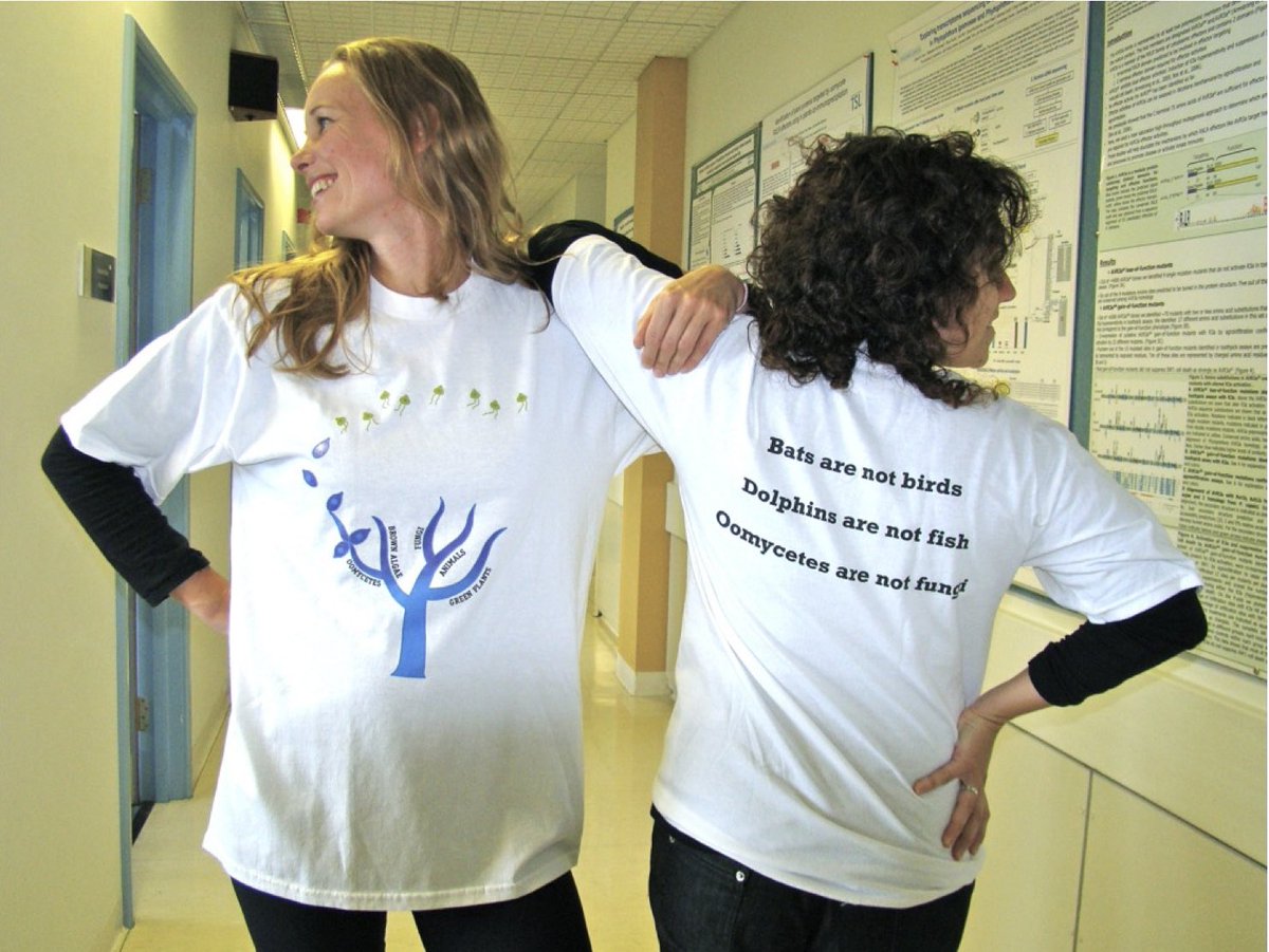 Sophien Kamoun tweet media