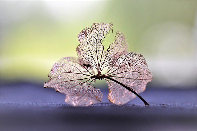 Rightresilience's tweet photo. In #BPD the tears bleed inwardly. Don't let other people convince you, that you need to be 'more grateful.' They cannot see your scars, let alone wounds. If you are in pain you have reasons, its ok to be depressed even if for everyone else the sun's shining. https://t.co/iSpnmEKPbF