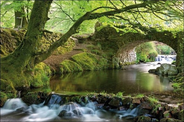 redsquirrelsw's tweet photo. #GoodMorning and Haaaapppy #DEVONday! We LOVE #Devon here at #BritishRedSquirrel! Shoutouts to our friends at #RedSquirrelSouthWest!
Can you name all 4 of these beautiful and #VeryDevon scenes?? #SouthWestIsTheBest #BeautifulDevon #Devonshire #RedSquirrelsRule #SaveOurSquirrels https://t.co/Z4BqvFgLUW