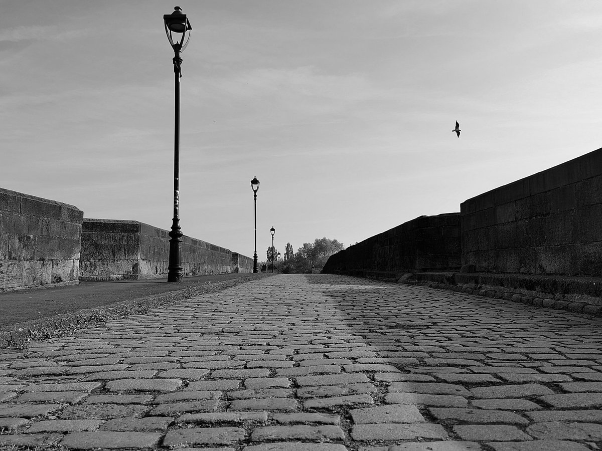 JanetteHall's tweet photo. Old Penwortham Bridge, Preston
#oldpenworthambridge #Bridge #Preston #Lancashire #cobblestonebridge #blackandwhitephotography #blackandwhite #blackandwhite_photos #bnw #bnwphotography #bnw_captures #pic #ig_myshot #NorthWest #northwestengland #ThePhotoHour https://t.co/XogGFuLA29
