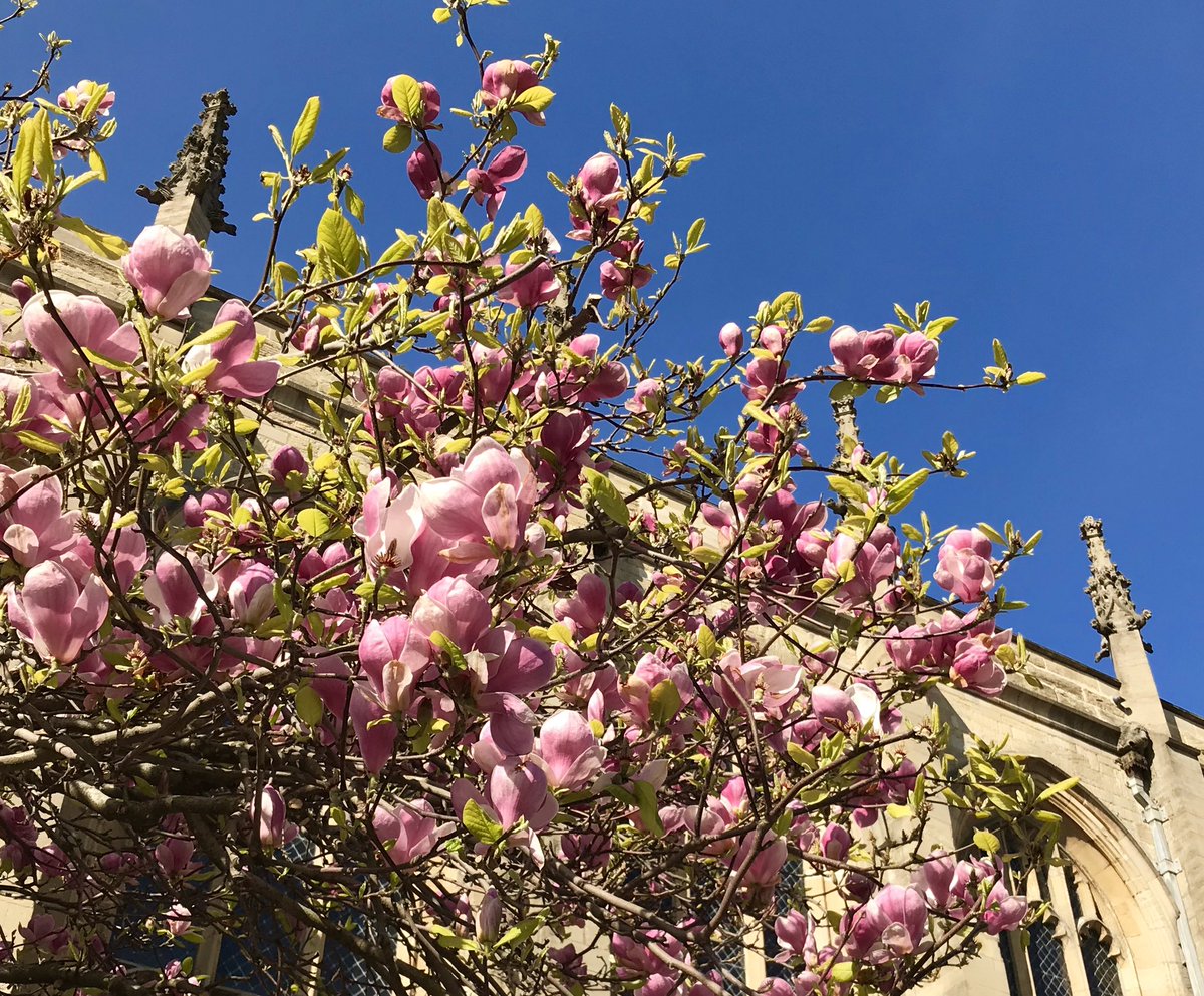 ilze_frey's tweet photo. A rare selfie. From a sunny day in Oxford. Because it’s gloomy out there this week. #Oxford #Readerstour https://t.co/W1k5R1XuQj