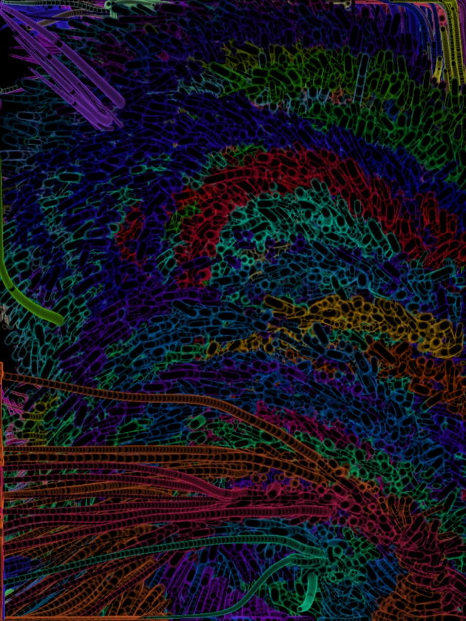 bent tweet media