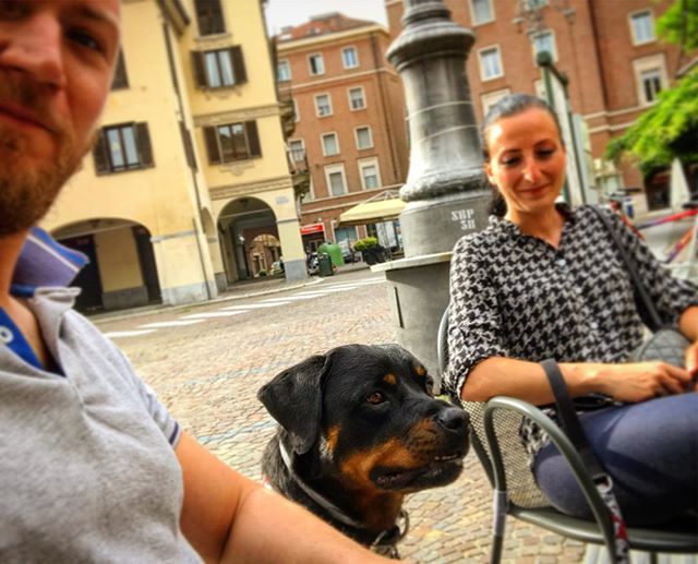 SimoneViarengo's tweet photo. A spasso con la Nana 🐕 e @__ginger_dog ❤️ #rottylove #rottweiler #dog #dogsofinstagram #rottweilerlovers #asti #piazzastatutoasti #happy #love #relax #myloves #selfie #me #mygirls #🐕 https://t.co/A3qzeWAro3 https://t.co/qZ9o7O52u6