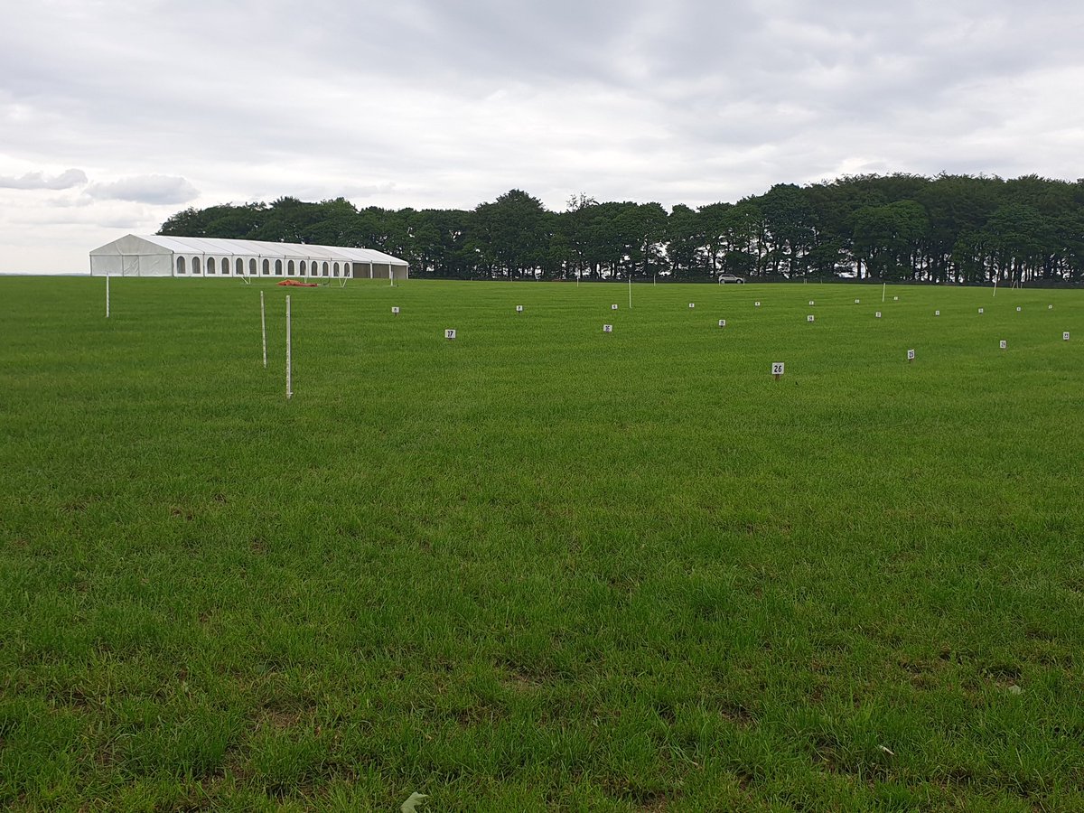 Tractor pitches all marked out awaiting a fabulous display of vintage machines, right up to one of the last tractors off the local Meltham Mills David Brown production line in 1988
