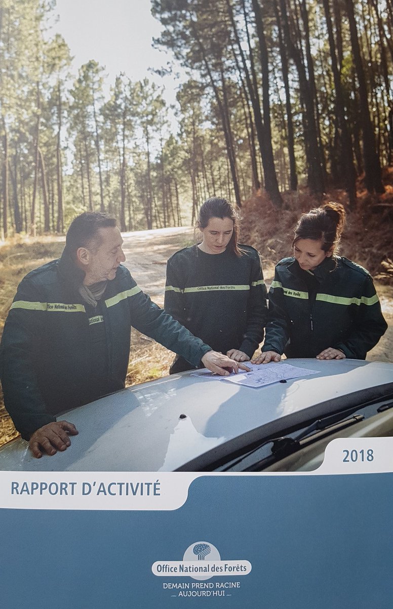 Visier - Fibois Pays de la Loire tweet media