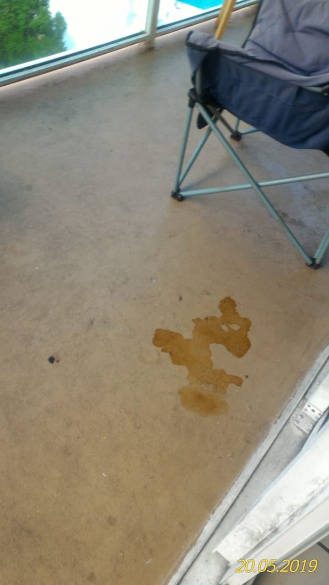 iarunaya's tweet photo. @Airbnb  we rent an apartment in Miami, florida, especifically in south Beach from May 20 to May 23, when we arrived the apartment was dirty, the furniture was broken, the shits had dirt and even blood and the carpet was full of confetti. Continuos below https://t.co/lj9tPI6w3I