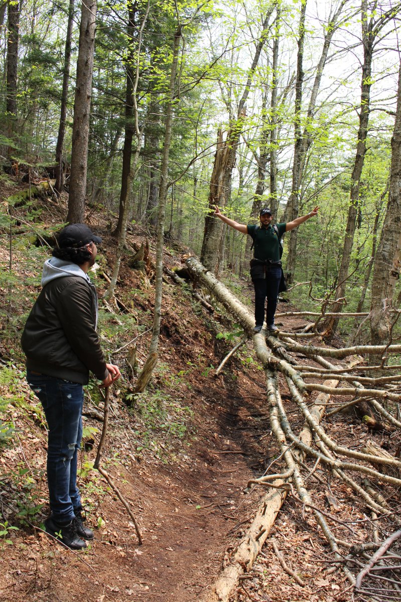 Last week we made our way to Franconia Notch in New Hampshire to hike the Artist’s Bluff trail. We had a wonderful time hiking the beautiful trail overlooking Echo Lake in the White Mountains! #INTOSuffolk #newengland