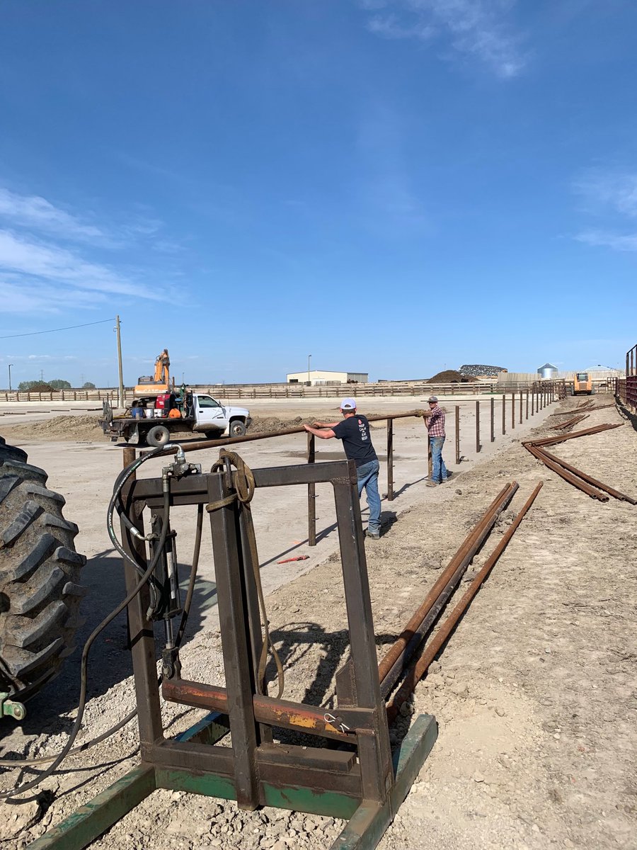 Les Wall tweet media