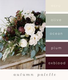 Soulolution's tweet image. Just Pinned to soulolution | Colours: Gorgeous fall color palette featuring plum tones  | #colorscheme #colorpalette #fallcolorpalette #fall bit.ly/2KrK2gP