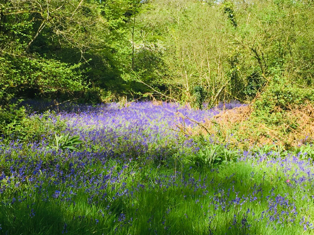 There is no wonder people keep returning to #Devon to holiday. - we are so lucky to live here #DevonDay <a href="/Smytham/">Smytham Holiday Park</a>