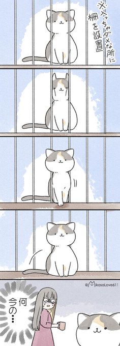 猫の体はファンタジーイリュージョン… 