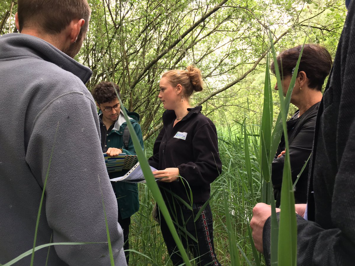 RTE_nord's tweet photo. #EnDirect de #Millam avec conservatoire des espaces naturels #hdf et voies navigables de France. Myriam de @RESEAU_CEN « 160 espèces florales ont été recensées dont 8 patrimoniales et 50 espèces avifaune dont 11 patrimoniales » https://t.co/cMWX12jMTi