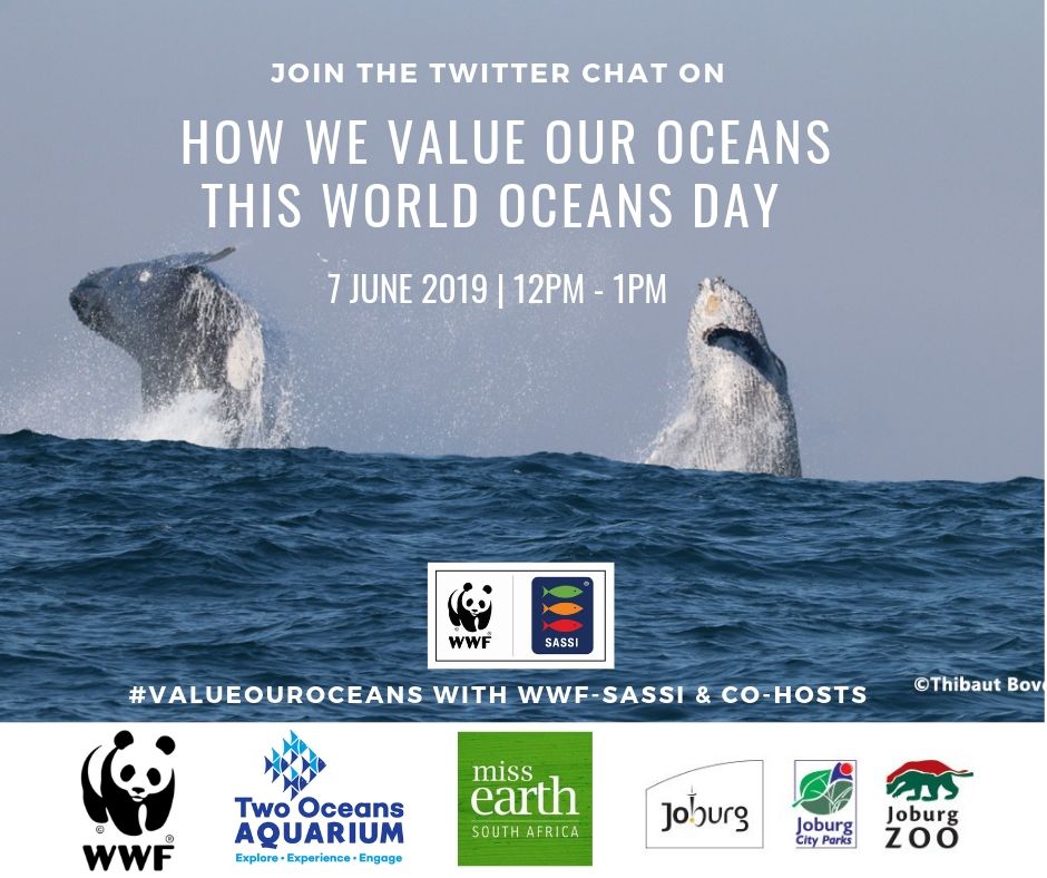 WWFSASSI's tweet image. Join us as we share how we care for our ocean! #WorldOceansDay