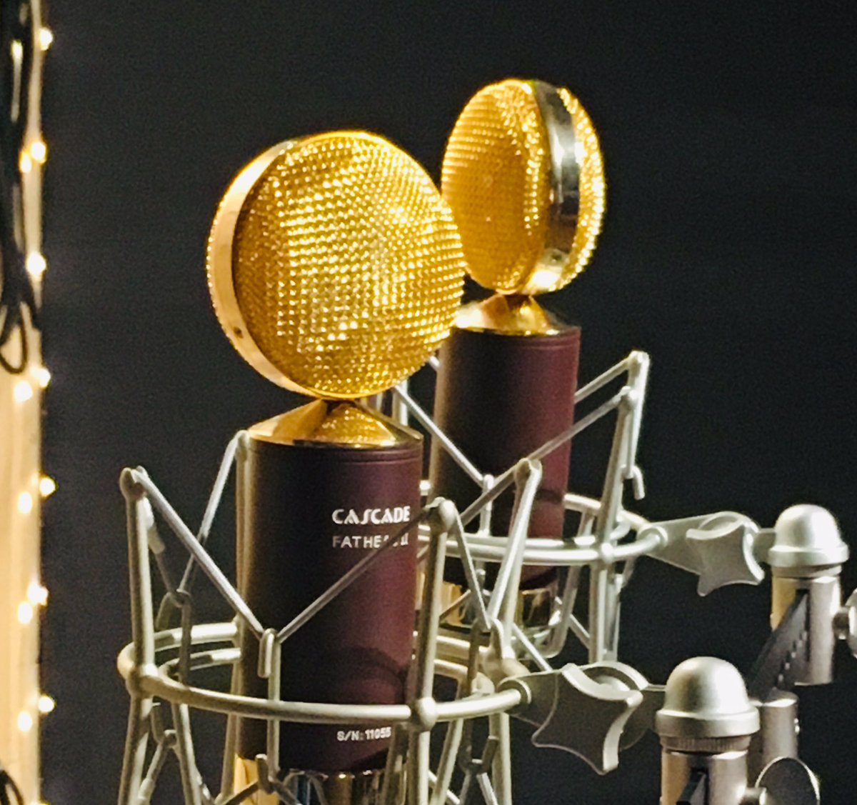 Capture that golden performance on gold mics! Gotta love the name too “Fatheads” 🙂 #cascademicrophones #ribbonmics
