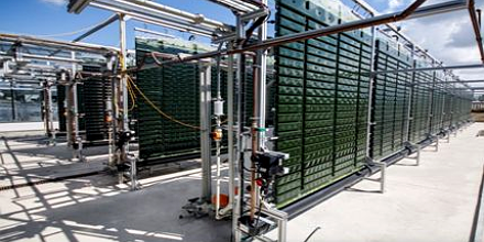 Check out our Outdoor Algae Production Systems – adjustable mixing responds to light intensity shifts throughout the day for optimized algae production! subitec.com/en/outdoor-pro… #algae #microalgae #photobioreactor #astaxanthin