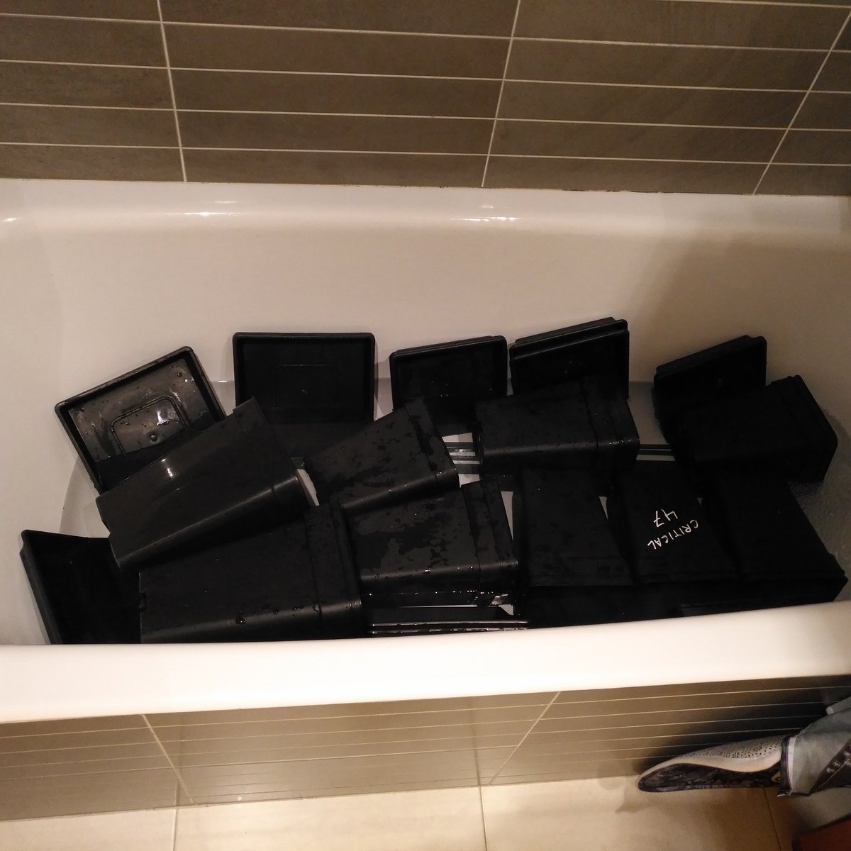 Gonyweed tweet media