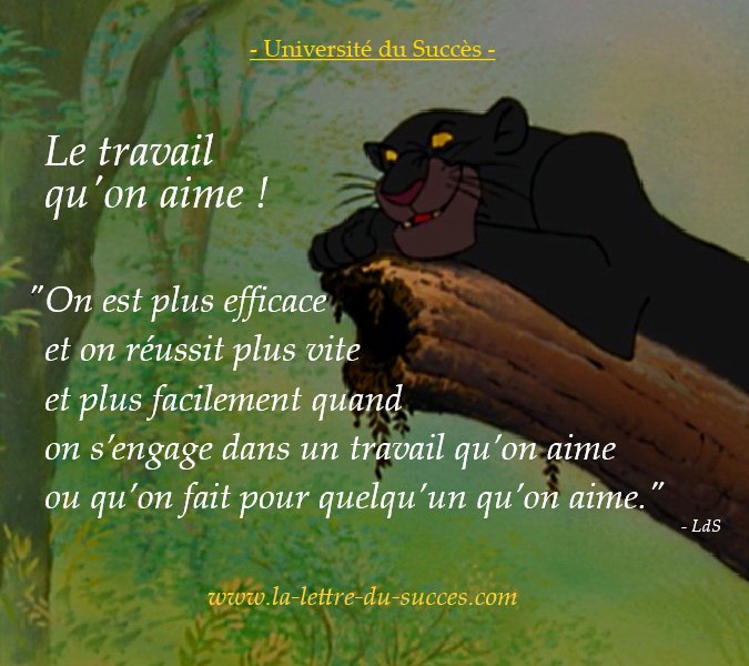 Université du Succès tweet media