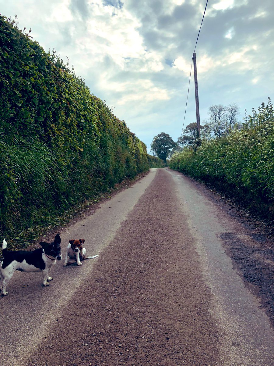 LizDKelly's tweet image. #DevonDay Lucky to live and work somewhere so beautiful 👌🏼💚 #devonisheaven