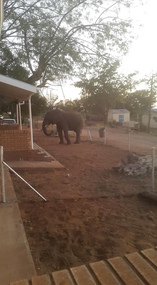OnealAfrica's tweet photo. Dear ⁦@TheEllenShow⁩ here is, one of the many reasons, why ⁦@OfficialMasisi⁩ exhibited decisive Leadership on behalf of the people of Botswana, where many before him failed. This is a residential area. https://t.co/9PyEGYxGVA