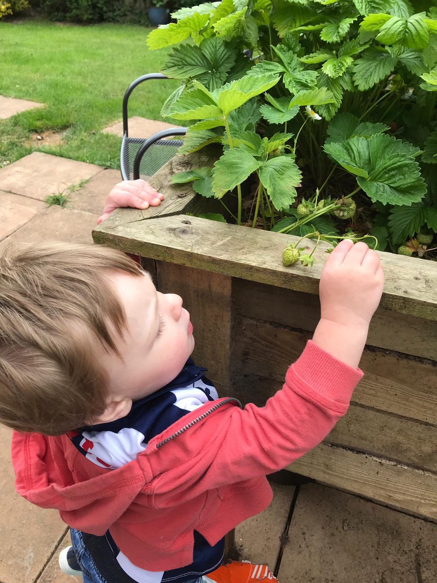 Chris Ford tweet media