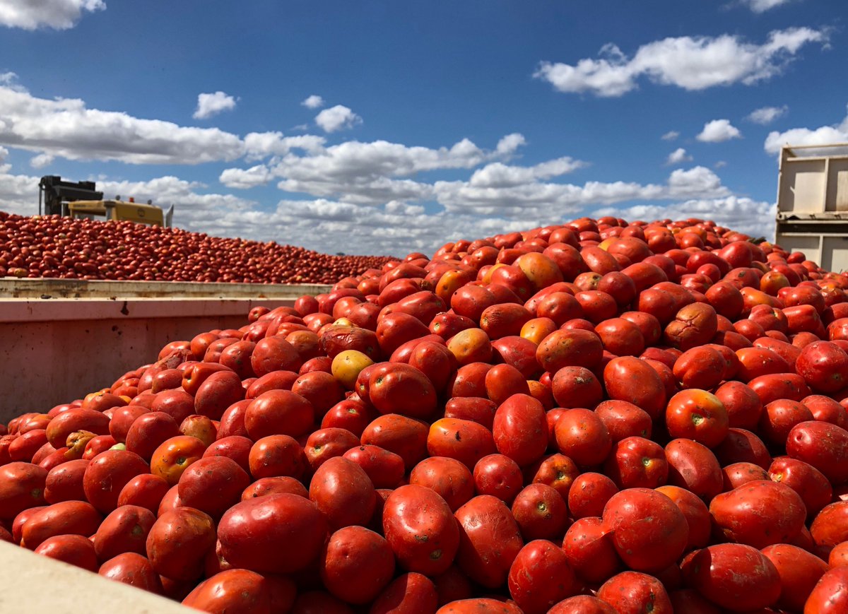 Excited to see the new SPC owners announced today. 

x.com/i/status/11358…