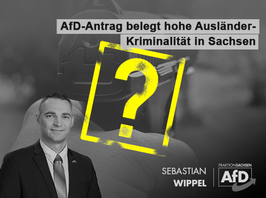 AfD_Check_SN's tweet photo. Ein längerer Beitrag zur Inhaltsanalyse der Kriminalpolitischen Zeitung (KriPoZ): „Kriminalität in Deutschland im Spiegel von Pressemitteilungen der Alternative für Deutschland (AfD)“:

https://t.co/Ad401MmsRH https://t.co/GBgyREwCBE