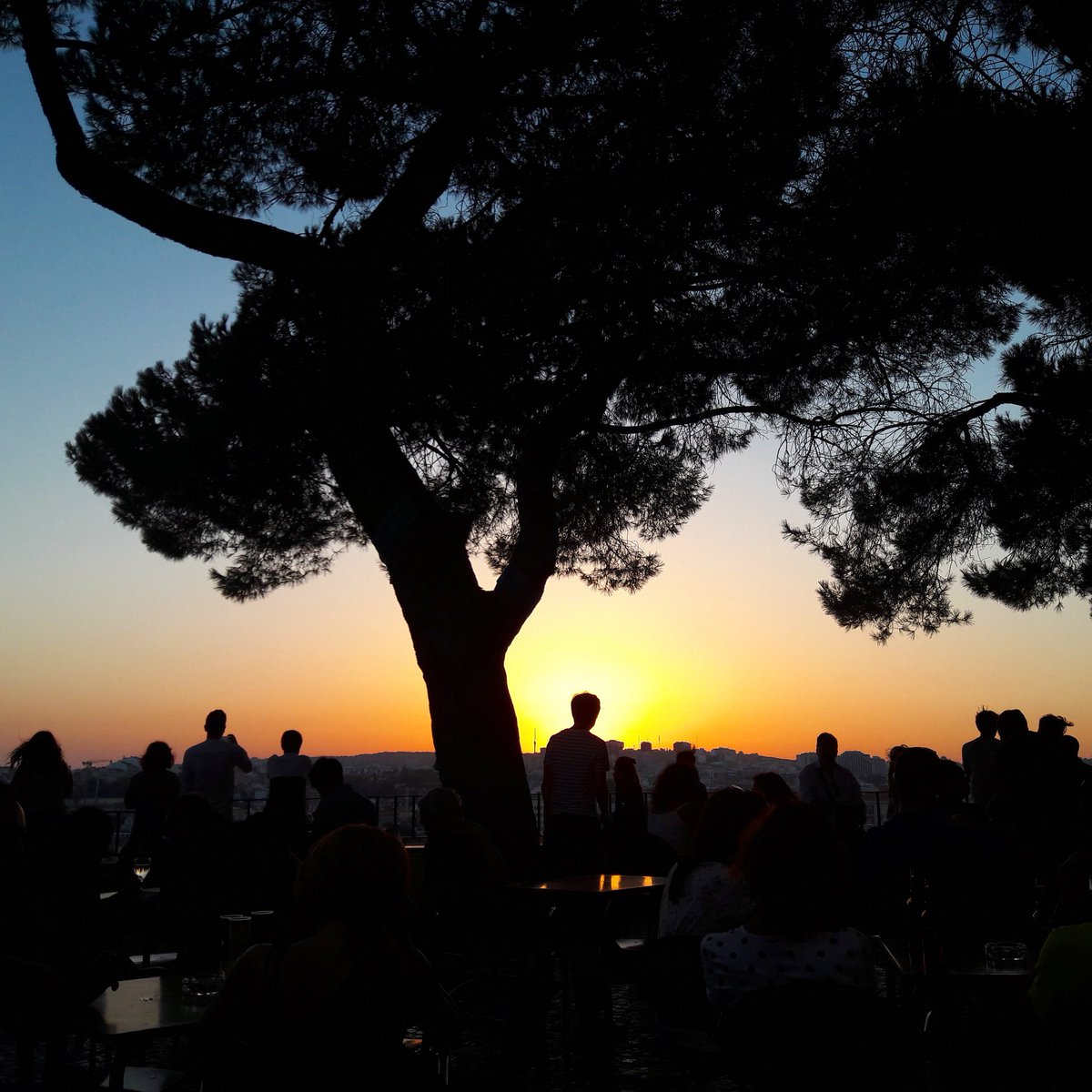 patriciamadeira's tweet photo. Lisbon has stunning sunsets. You just have to know the best spots to appreciate it. 😉😎
#Lisbon #FavouriteSpots #LisbonViewpoints #Enjoy #Experience 
#NoFilters #LisbonTailoredTours #LisbonwithPats https://t.co/2IwrzPbQur