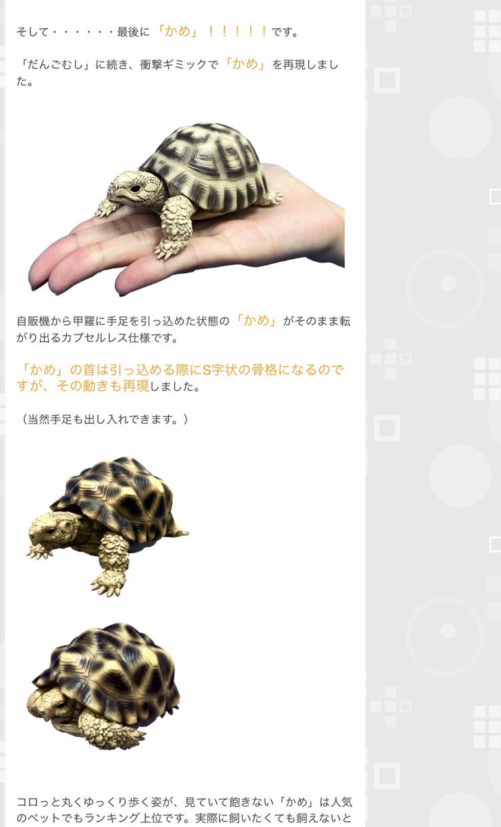 おつまみ てか亀ガチャ うっかわいい でもアカミミガメかハコガメが欲しかった W T Co D9eozvrywh Twitter