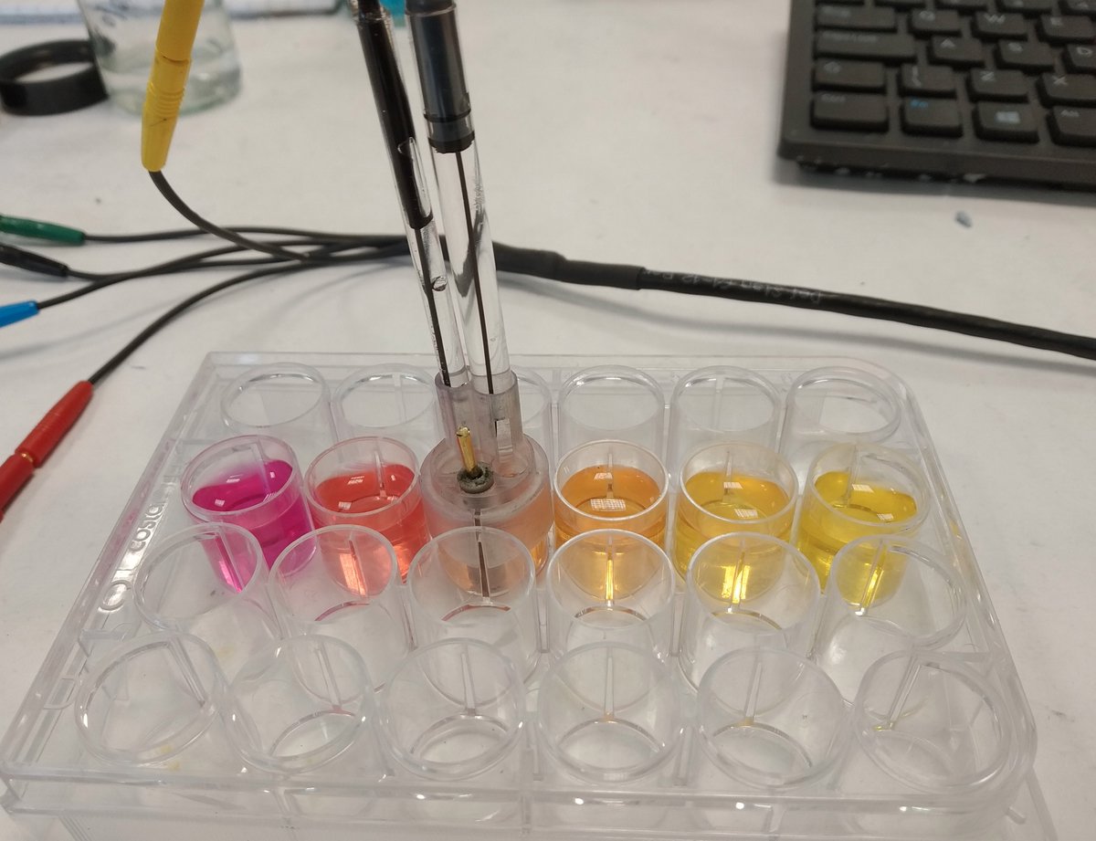 ANBSensors's tweet image. A day in the life! #pHsensing #colours #biomedia #chemistry @stemnovate