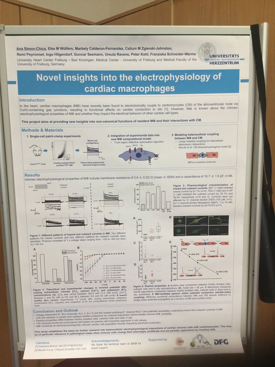 NewtonGateway's tweet image. More #cardiac #uncertaintyquantification posters