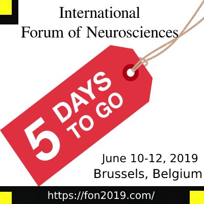 NeuroFNN2020's tweet photo. Only 5 Days more to "International Forum of Neurosciences 2019"  June 10-12 #Belgium #Brussels 
 
PS: https://t.co/HScCvS48uU       
@InnovincConf 

#neuroscience #cognitiveneuroscience #psycology #neuroimmunology #dementia #stroke #multiplesclerosis #parkinsonsdisease https://t.co/UE3ErSCCaS