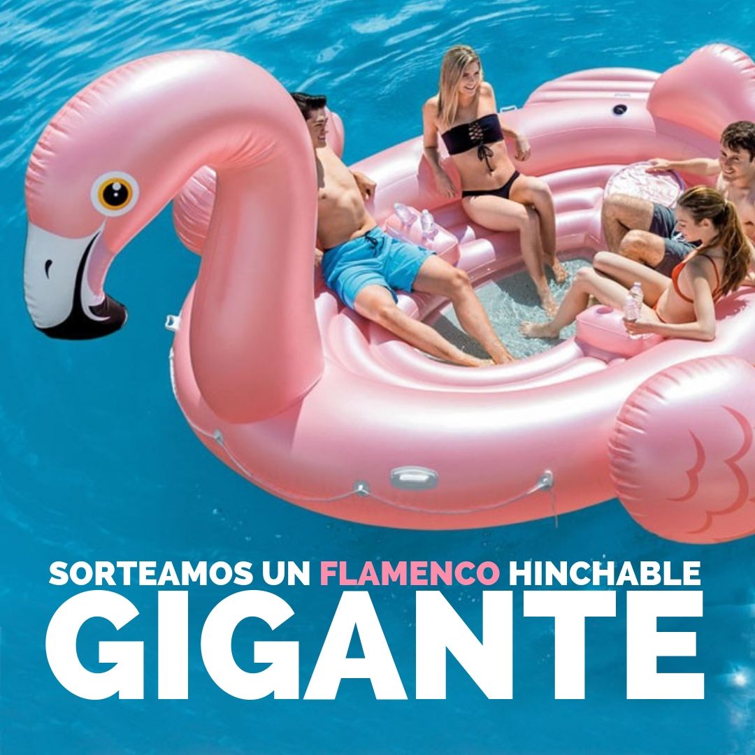 poolaria's tweet photo. Nuevo sorteo en nuestro instagram, no te lo pierdas 🥳 https://t.co/vfIZ1Jkp9M #sorteo #poolaria #intex https://t.co/f6pAiEDOqY