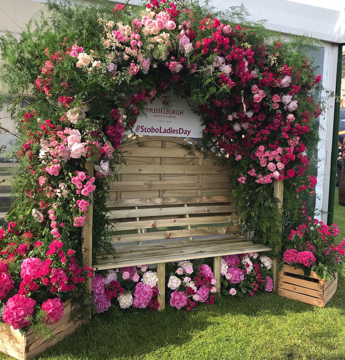 Planet Flowers tweet media