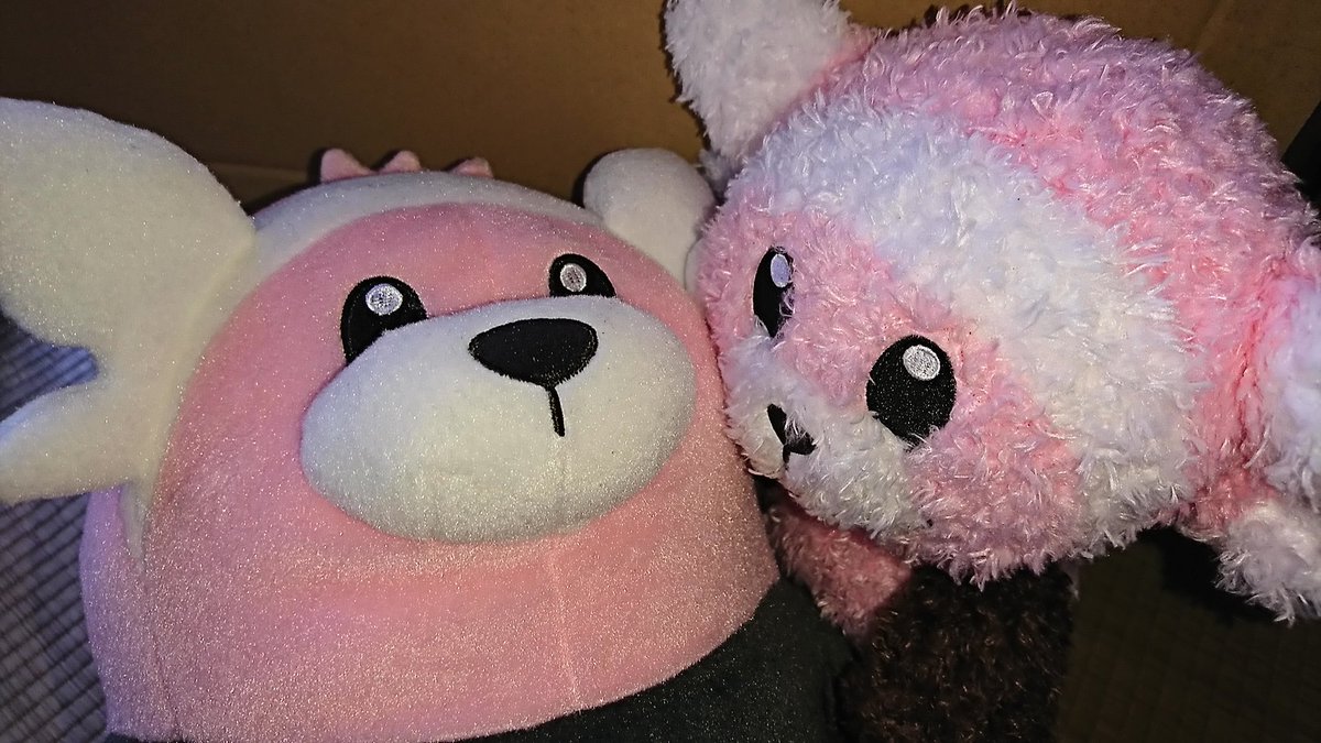 じゃすぉ ホワイトキュゥビ Di Twitter もこもこヌイコグマお出迎えした 無駄にでかいダンボール箱 T Co 4kzjg3vs Twitter