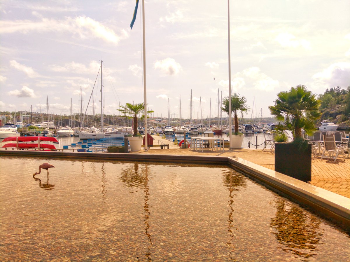 joacimeldre's tweet image. Kicking back before kicking off with Citrix User Group Norway. @citrix #cugtech