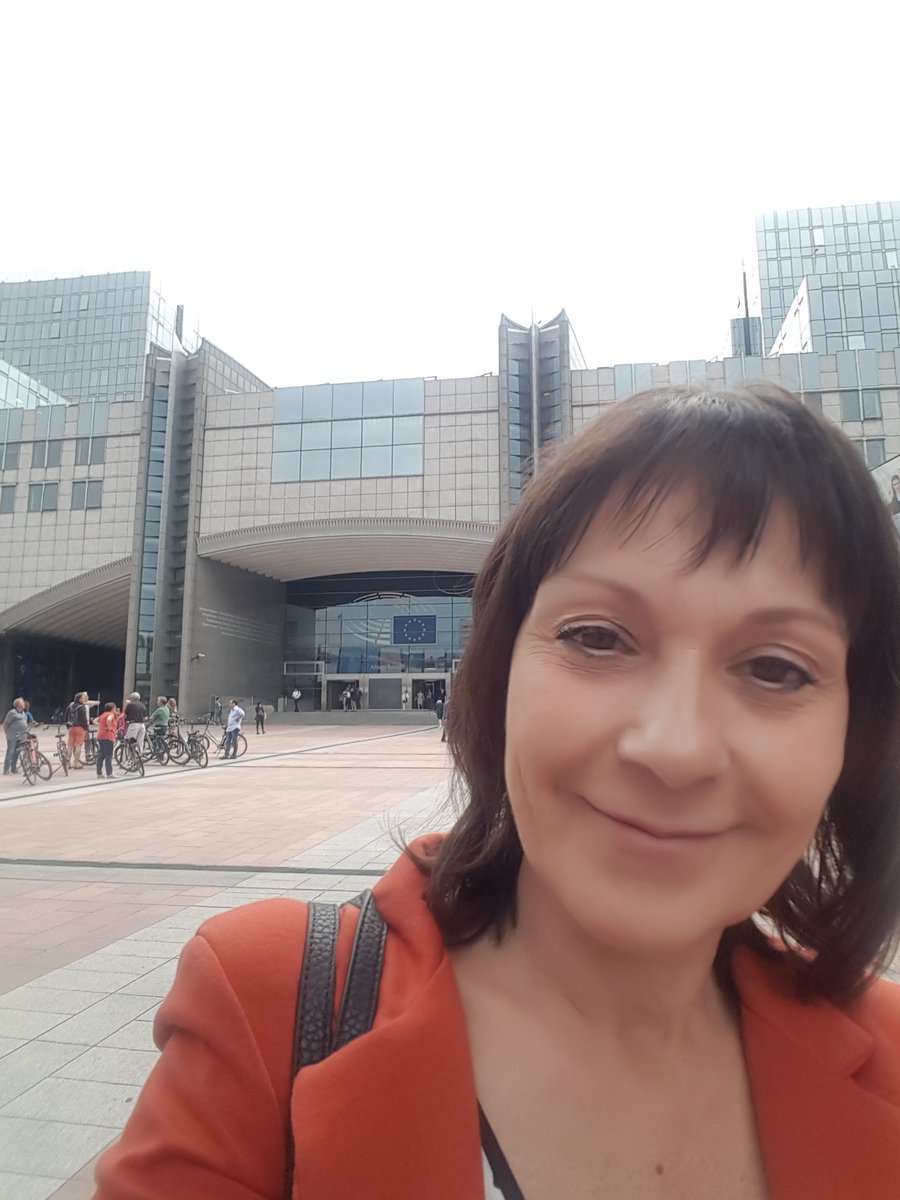 Sylvie Guillaume tweet media