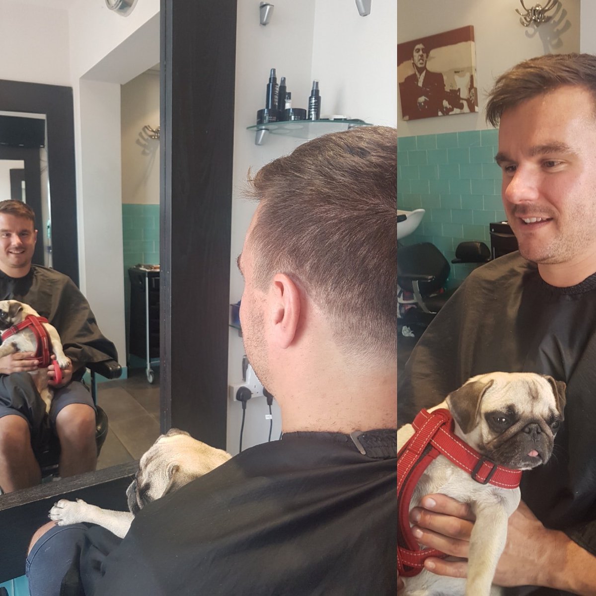 esquire_barber's tweet photo. Why not having a haircut when you are out with your dog❓😎💇🏻‍♂️✂️💇🏻‍♂️ #esquirebarbers #TuesdayThoughts #barber #barbershop #barbershopraynespark https://t.co/U3Wq26dtWz