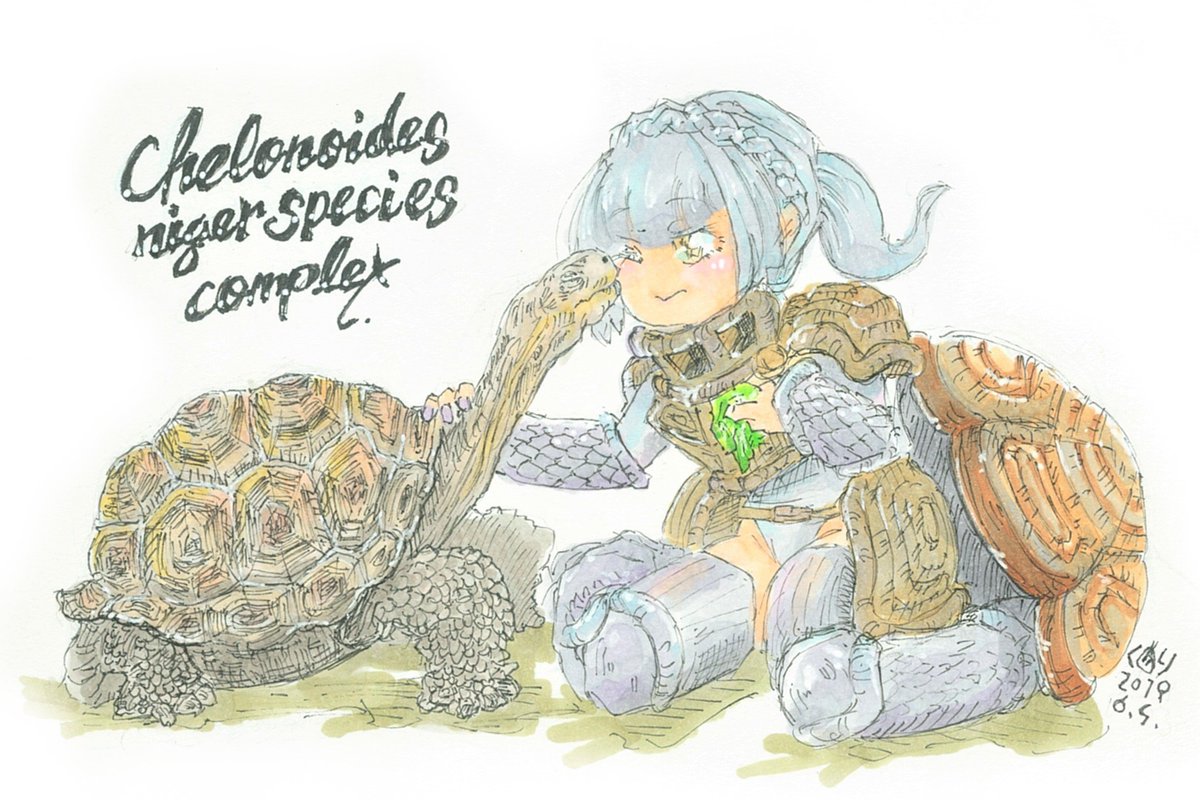 ガラパゴスゾウガメ Twitter Search