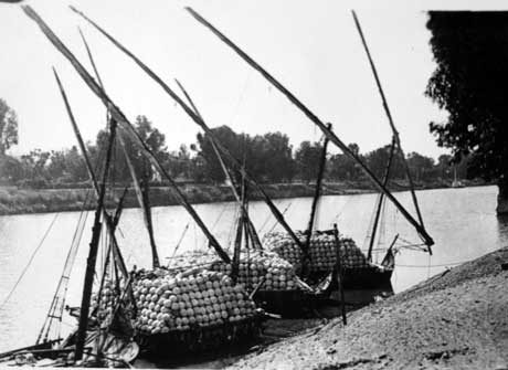 قررت إني أقسم أنواع المراكب لفئتين، فئة مراكب البضاعة، ومراكب النزهه، وحتكلم هنا عن أشهر المراكب الشراعية النيلية في آخر 200 سنة...أول مركب هو نوع معروف باسم "القيّاسة" Qyassa ودي المركب المفضل بالنسبة ليا، وكانت بتشيل حمولات ضخمة جداً تصل في بعض الأحيان ل250 طن...  #MASRZAMAN