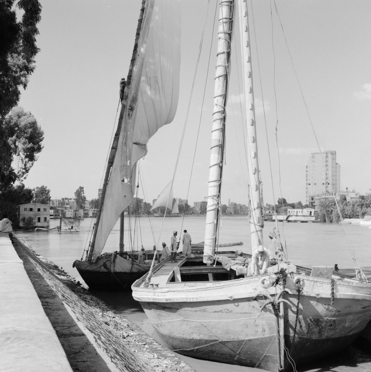 النوع ده من المراكب كان مبني من الخشب، وإبتدى في أواخر القرن ال19 يتحول لمعدن... ودي صور لمركبين معدن وخشب جنب بعض...وكان بيتم استخدامهم نفس الاستخدام بالرغم من اختلاف ماده البناء... #MASRZAMAN  #NileBoats