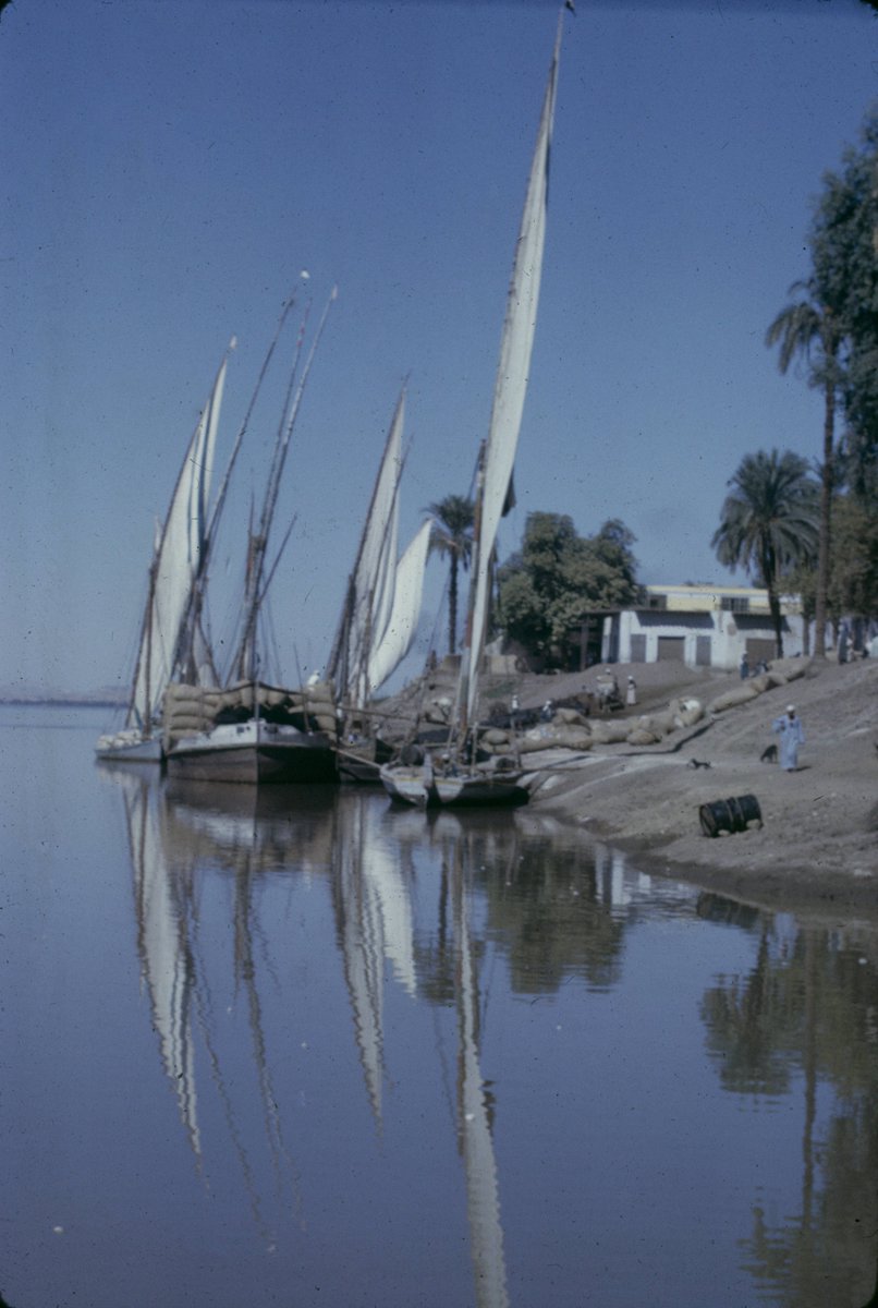 النوع ده من المراكب كان مبني من الخشب، وإبتدى في أواخر القرن ال19 يتحول لمعدن... ودي صور لمركبين معدن وخشب جنب بعض...وكان بيتم استخدامهم نفس الاستخدام بالرغم من اختلاف ماده البناء... #MASRZAMAN  #NileBoats