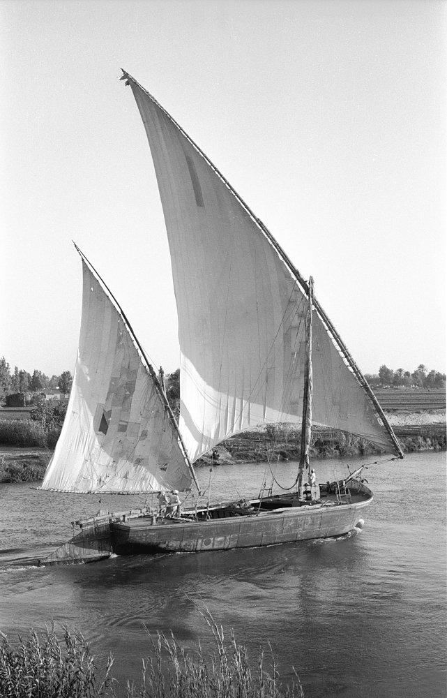 وزي ما شوفنا في فيلم صراع في النيل، المراكبية اللي كان عندهم مراكب شراعي كانوا بيبيعوها خرده ويشتروا "رفاص" علشان يستخدموه في النقل بدل الشراع...والمراكب الخشب كانت بتتباع خرده ويتم تفكيكها واستخدام خشبها في أفران وورش القار أو القطران لعمل الأسفلت...