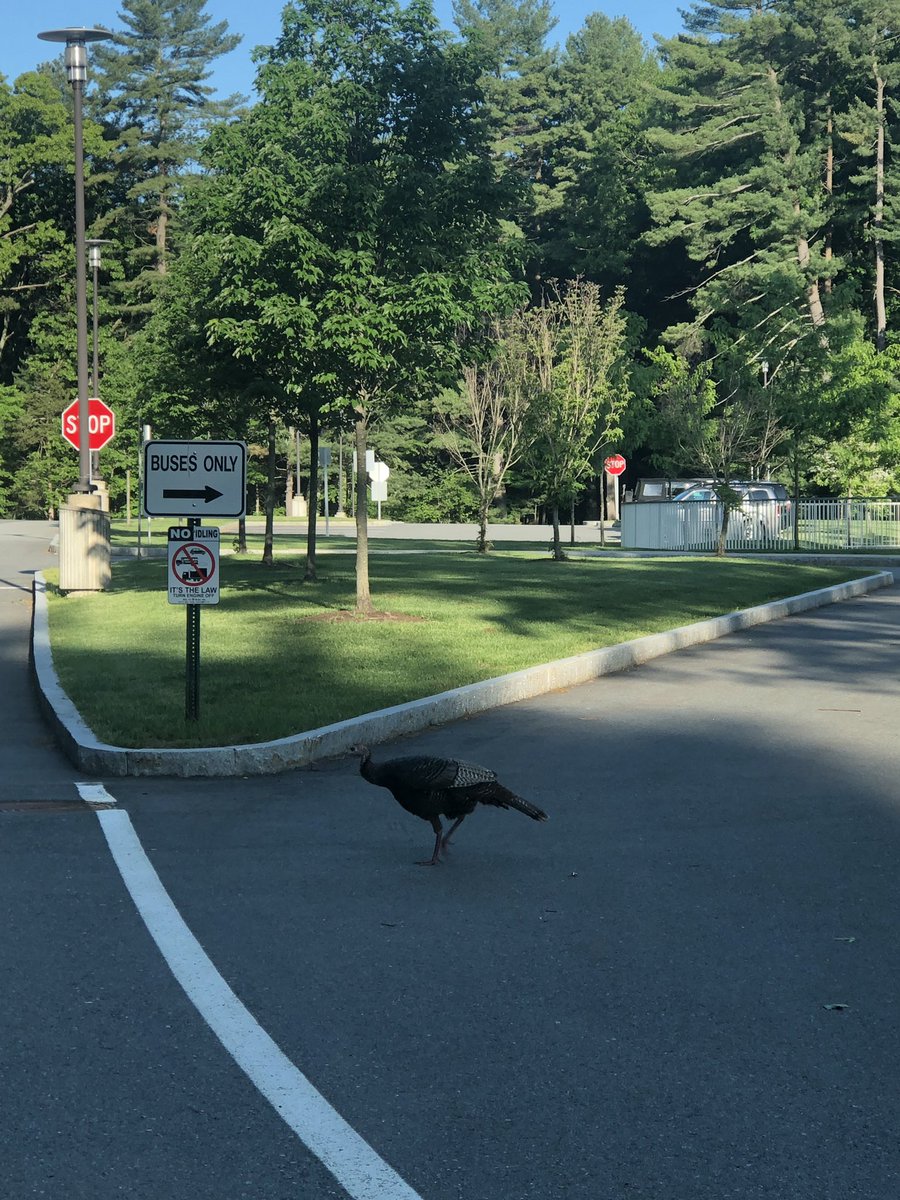 Buses only allowed in the bus loop. Please consider this a public service announcement.